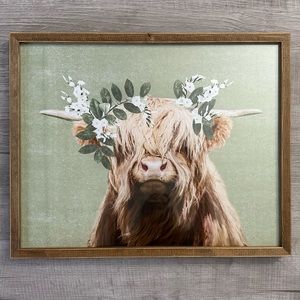 Highland cow picture